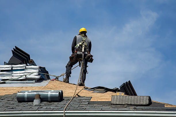 Professional Storm Damage Roof Repair technician working in Nauvoo, IL